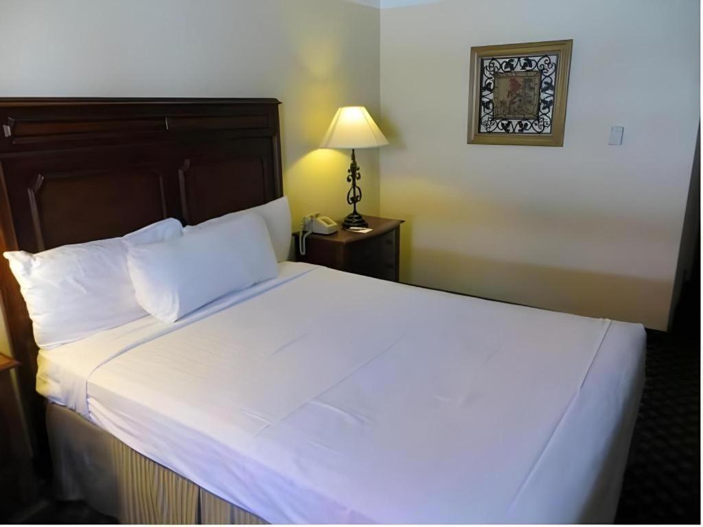 El Cortez Hotel & Casino - 21 And Over Only (Adults Only) Лас-Вегас Экстерьер фото